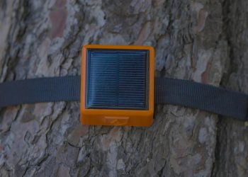 Türk takımın icadı en âlâ adaylar listesinde