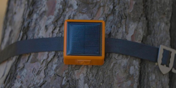 Türk takımın icadı en âlâ adaylar listesinde