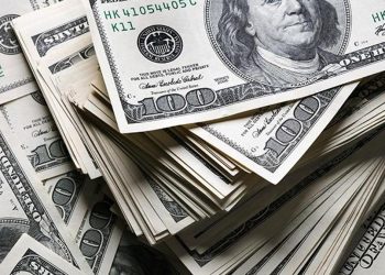 Vatandaşlar 481,4 milyon dolarlık döviz aldı