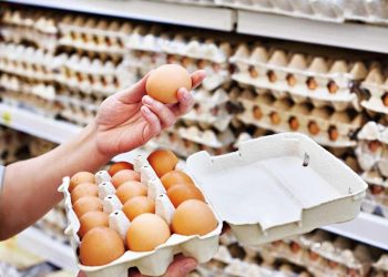 Yumurtacılara 98 milyon TL’lik ‘kartel’ cezası
