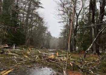 ABD’yi vuran fırtına 600 bin kişiyi elektriksiz bıraktı