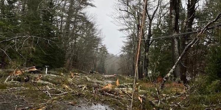 ABD’yi vuran fırtına 600 bin kişiyi elektriksiz bıraktı