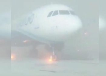 Ağır sis Hindistan’da hayatı felç etti