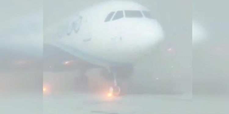 Ağır sis Hindistan’da hayatı felç etti