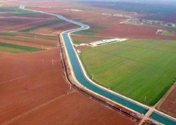 Bakan Özhaseki açıkladı: 80 bin çiftçiye tahsis edildi