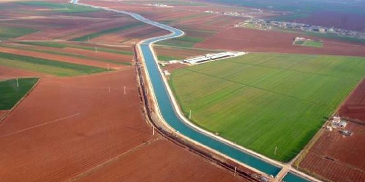 Bakan Özhaseki açıkladı: 80 bin çiftçiye tahsis edildi