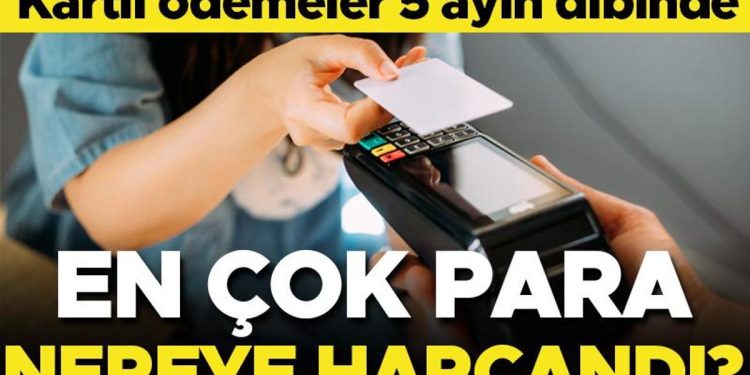 Banka ve kredi kartıyla harcamalar 5 ayın dibinde! İşte en çok harcama yapılan alanlar