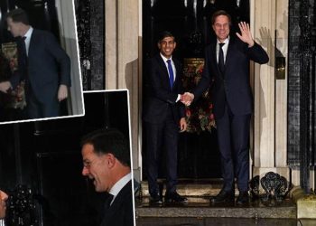 Başbakanların kapıda kaldığı an! Sunak ve Rutte toplumsal medyanın lisanına düştü