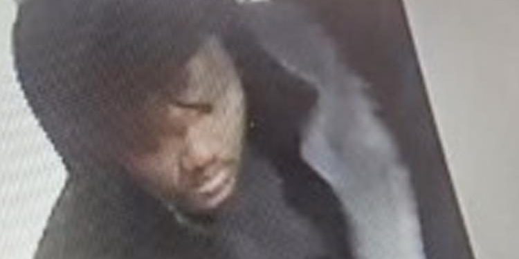 Chanel mağazasından 99 çanta çalındı! Kıymeti 250 bin dolar…