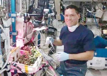 Domatesi astronot yememiş