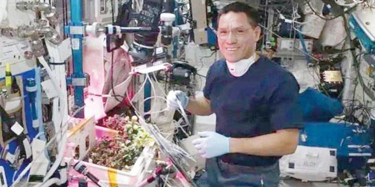 Domatesi astronot yememiş