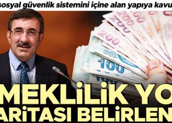 Emeklilik yol haritası belirlendi… BES, toplumsal güvenlik sistemini içine alan yapıya kavuşacak