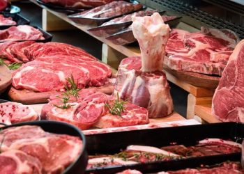 Et ve Süt Kurumu kilosu 130 liradan sığır satacak