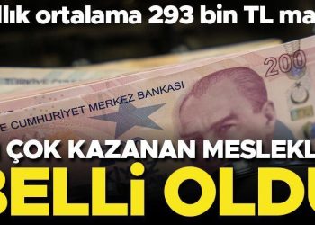 Finans çalışanları ve sigortacılar en çok kazanan meslek sahipleri oldu