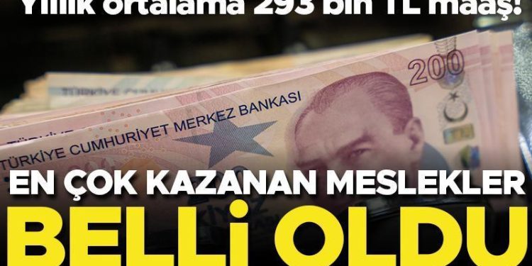Finans çalışanları ve sigortacılar en çok kazanan meslek sahipleri oldu