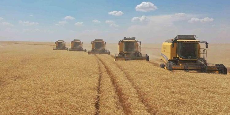 İç savaş nedeniyle tasfiye edildi