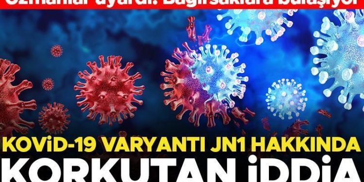 Kovid-19 varyantı JN1 hakkında korkutan iddia! Uzmanlar uyardı: Bağırsaklara bulaşıyor