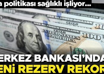 Merkez Bankası’nın rezervlerinde yeni rekor