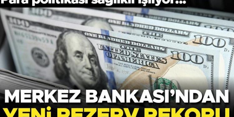 Merkez Bankası’nın rezervlerinde yeni rekor