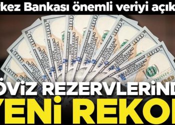 Merkez Bankası’nın rezervlerinde yeni rekor