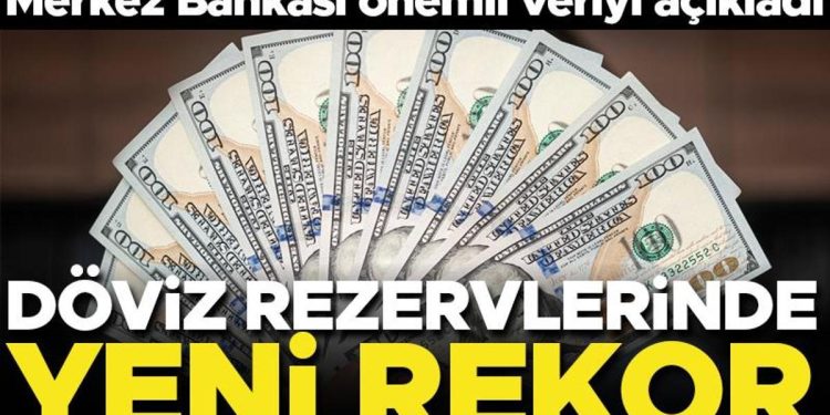 Merkez Bankası’nın rezervlerinde yeni rekor