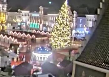 Noel pazarında dehşetli kaza:20 metre uzunluğundaki ağaç devrildi