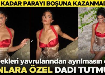O kadar parayı boşuna kazanmadı: Köpekleri yavrularından ayırmamak için onlara özel dadı tutmuş