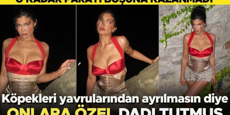 O kadar parayı boşuna kazanmadı: Köpekleri yavrularından ayırmamak için onlara özel dadı tutmuş