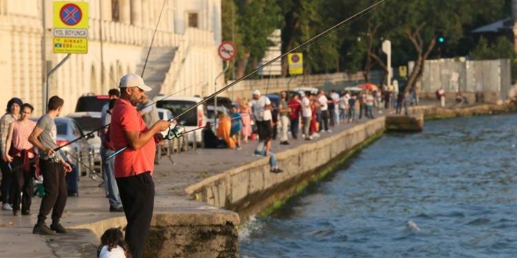 Olta balıkçılarından para mı istenecek? Profesör Kocabaş’tan teklif