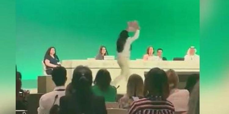 Şimdi 12 yaşında…COP28’e damga vuran iklim protestosu