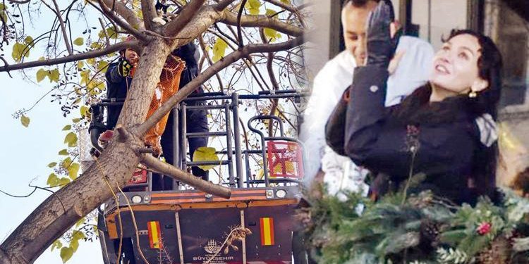 Tekçe Akalay’ın kedi kurtarma operasyonu