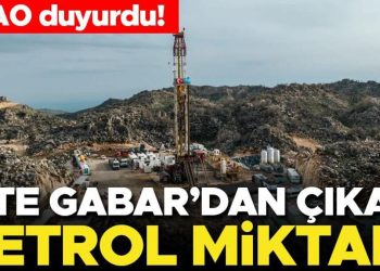 TPAO duyurdu! İşte Gabar’dan çıkan petrol ölçüsü