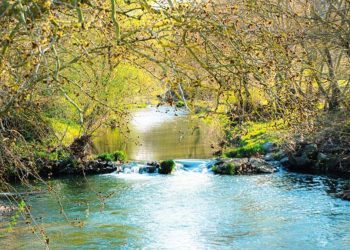 Ulusal Su Konseyi kuruldu