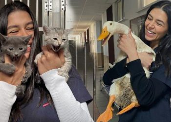 Ünlü oyuncu setlere orta verdi… Mesleğine geri döndü!