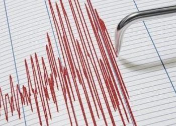 Vanuatu 7.1 büyüklüğünde sarsıntıyla sarsıldı