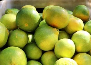 1 liralık mandalina markette 45 liraya satılıyor