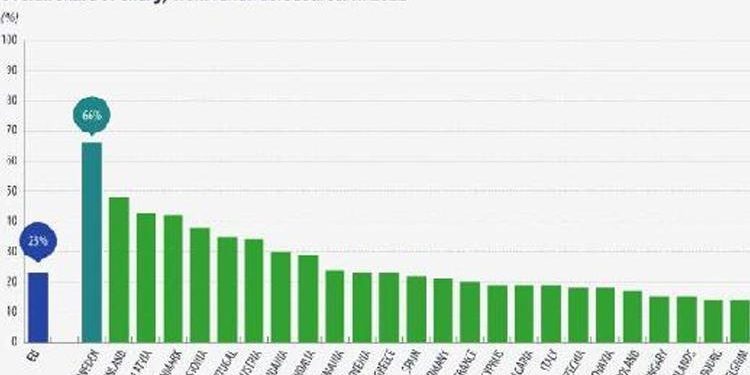 “2022’de tüketilen gücün yüzde 23’ü yenilenebilir kaynaklardan elde edildi”