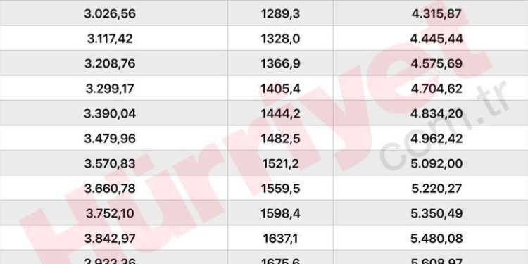 2024 ocak dul ve yetim maaşı ne kadar oldu, yüzde kaç artırım yapıldı? İşte, yeni dul ve yetim maaşları ve mevzu hakkında detaylı bilgiler…