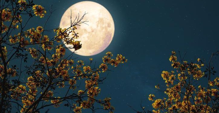 2024’ün birinci dolunayı Aslan burcunda: Dolunay ne vakit, saat kaçta gerçekleşecek? İşte burçlara tesiri…