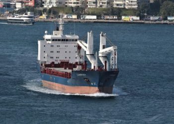 Ukrayna basını: Rusya işgal ettiği bölgelerde Ukraynalı çiftçilerin tahıllarını BAE bağlantılı bir şirketle Türkiye’ye ihraç etti