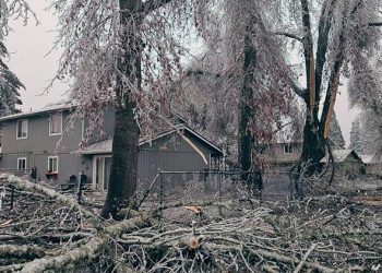 ABD’de can kaybı 90’a yaklaştı