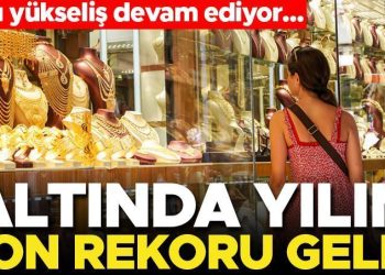 Altında süratli yükseliş! Yeni rekor geldi