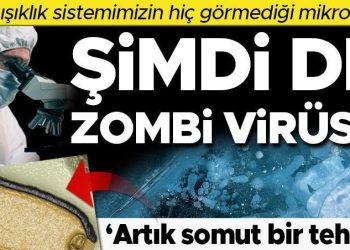 Artık de zombi virüsü! Bilim insanları uyardı: Somut bir tehdit, bağışıklık sistemimizin hiç görmediği virüsler…