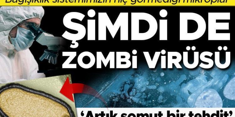 Artık de zombi virüsü! Bilim insanları uyardı: Somut bir tehdit, bağışıklık sistemimizin hiç görmediği virüsler…