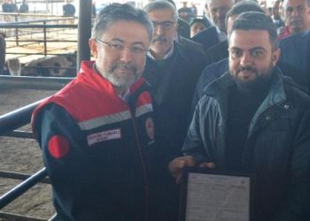 Bakanlık’tan depremzede çiftçilere büyükbaş hayvan takviyesi