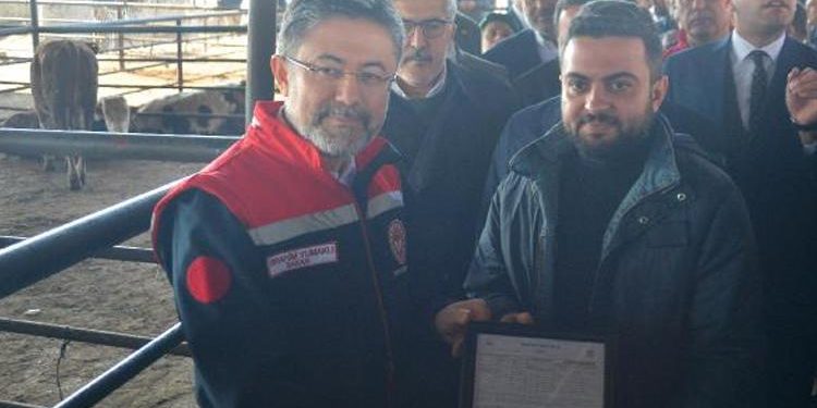 Bakanlık’tan depremzede çiftçilere büyükbaş hayvan takviyesi