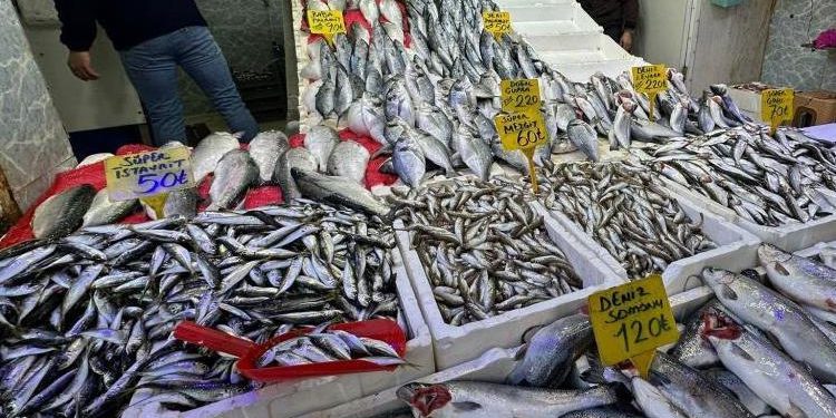 Balığa ilgi arttı