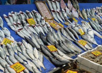 Balık fiyatları yükseldi