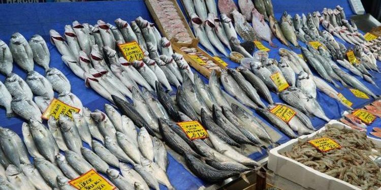 Balık fiyatları yükseldi