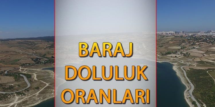 BARAJ DOLULUK ORANLARI İSKİ (8 OCAK 2024)|| Aktüel İstanbul baraj doluluk oranları ne kadar, yüzde kaç arttı?